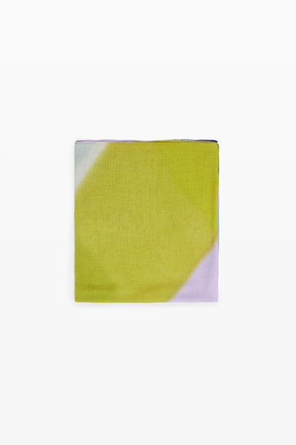 Rectangular Striped Scarf