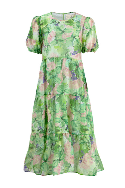 Dreaming Of Spring Dress