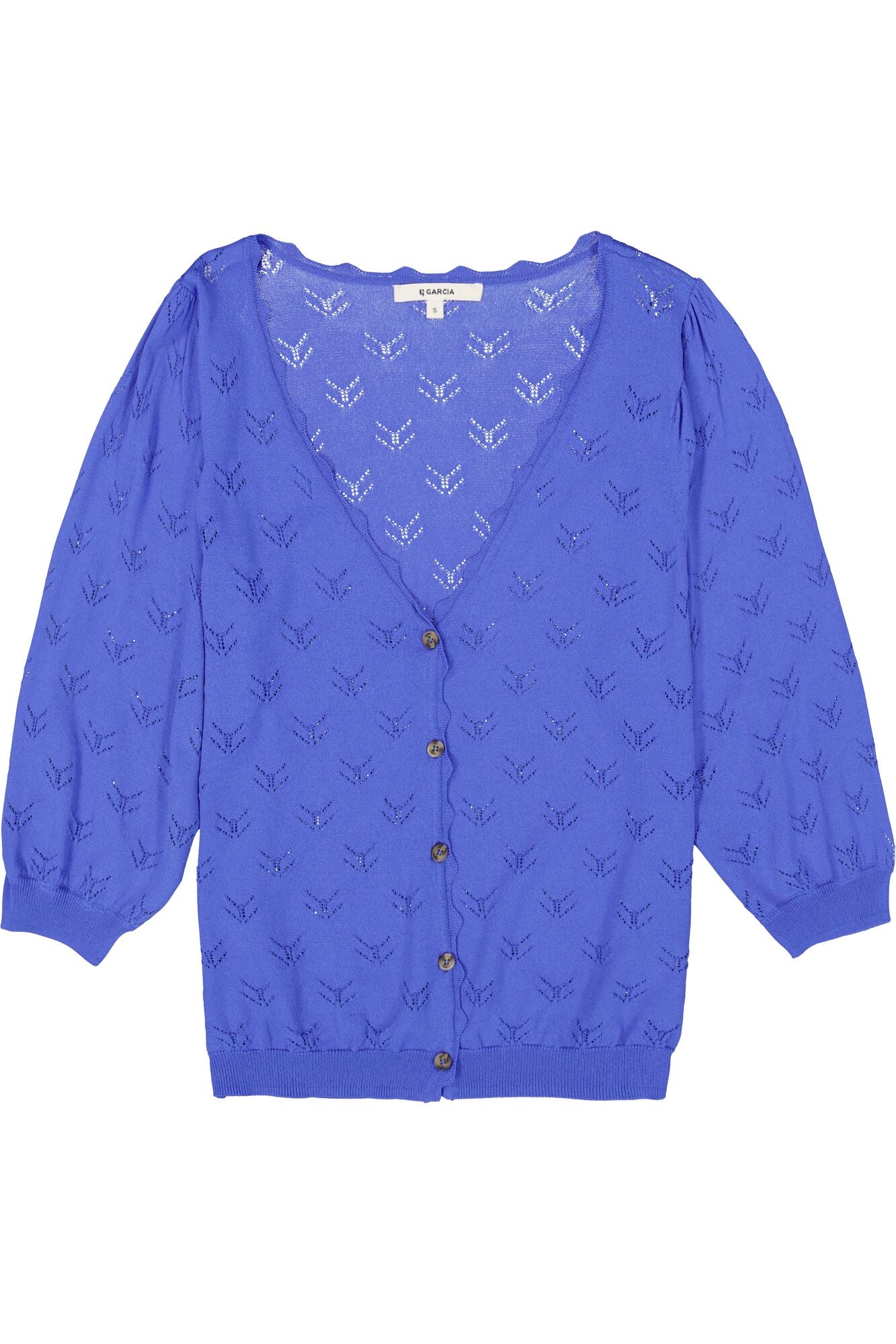 Blue Cardigan