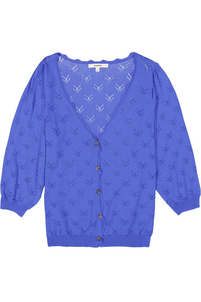Blue Cardigan